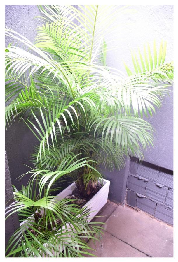 Beach House Ilha Grande Hostel エクステリア 写真